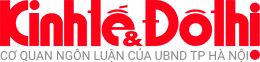 Media Icon