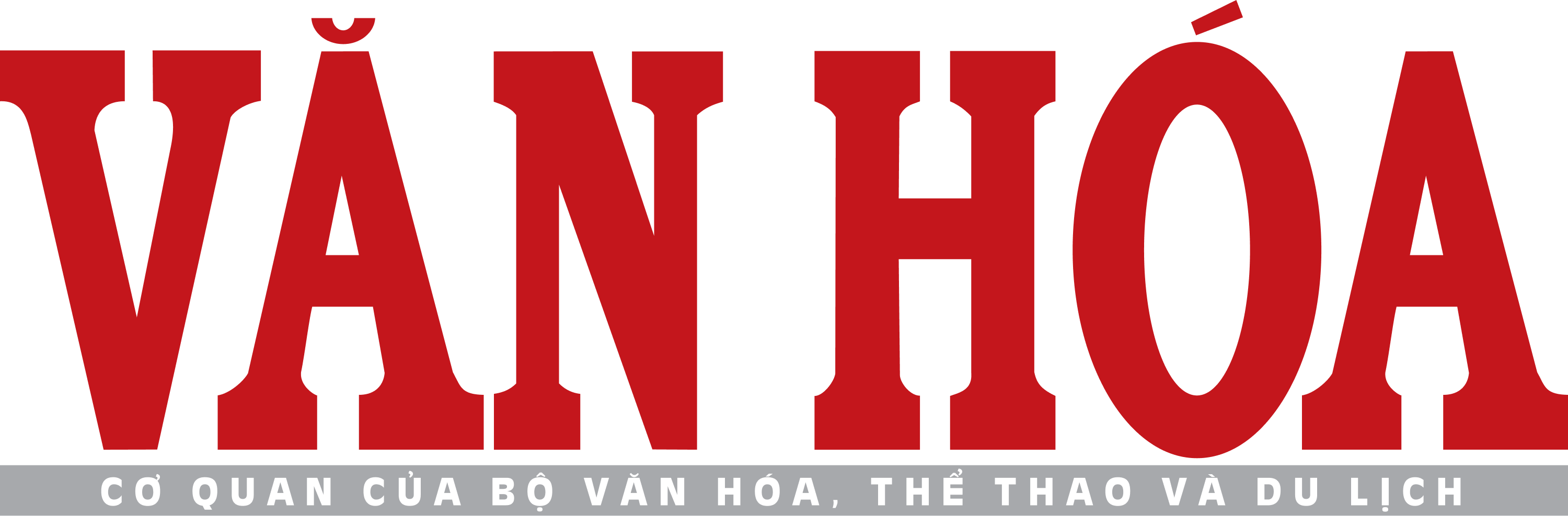 Media Icon